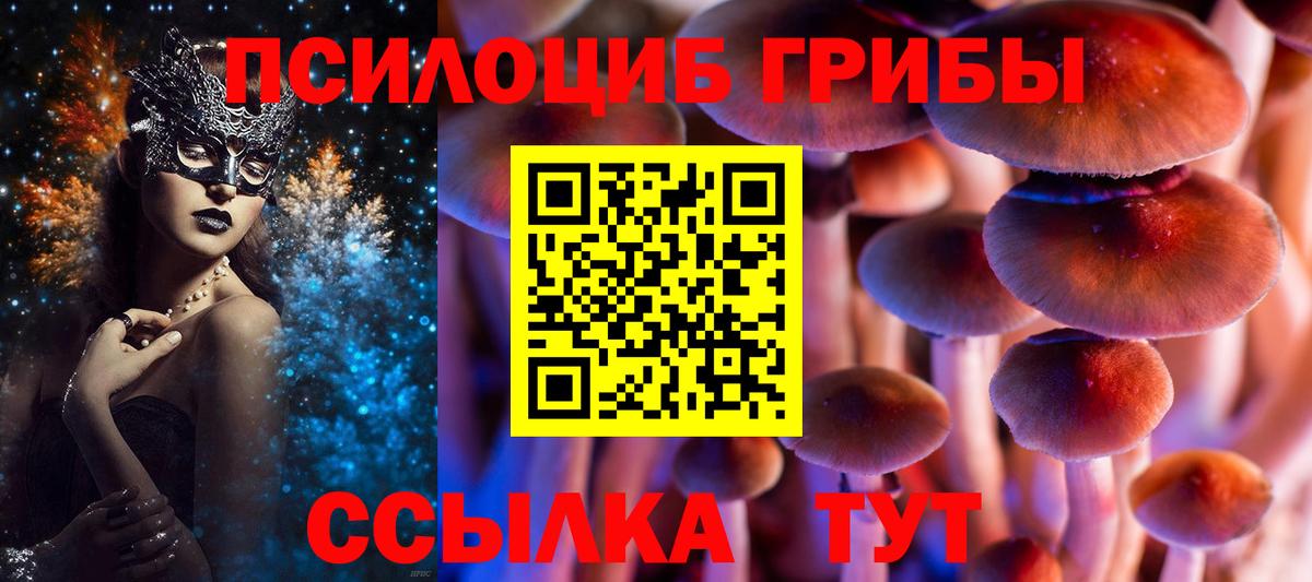 Семёнов  Псилоцибиновые грибы прущие грибы  Вход с VPN 